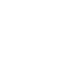 vittae